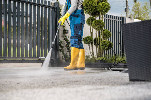 Best House Exterior Washing  in Loyalhanna, PA